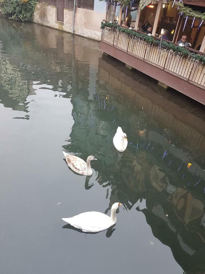 Les Colombages Lägenhet Colmar Exteriör bild