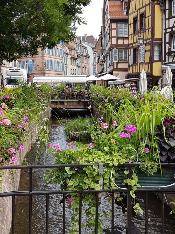 Les Colombages Lägenhet Colmar Exteriör bild