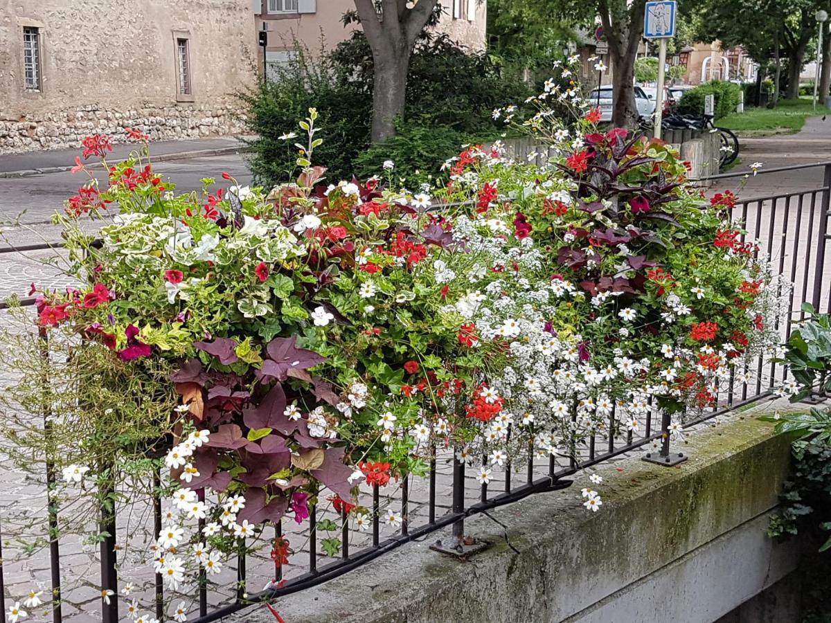 Les Colombages Lägenhet Colmar Exteriör bild